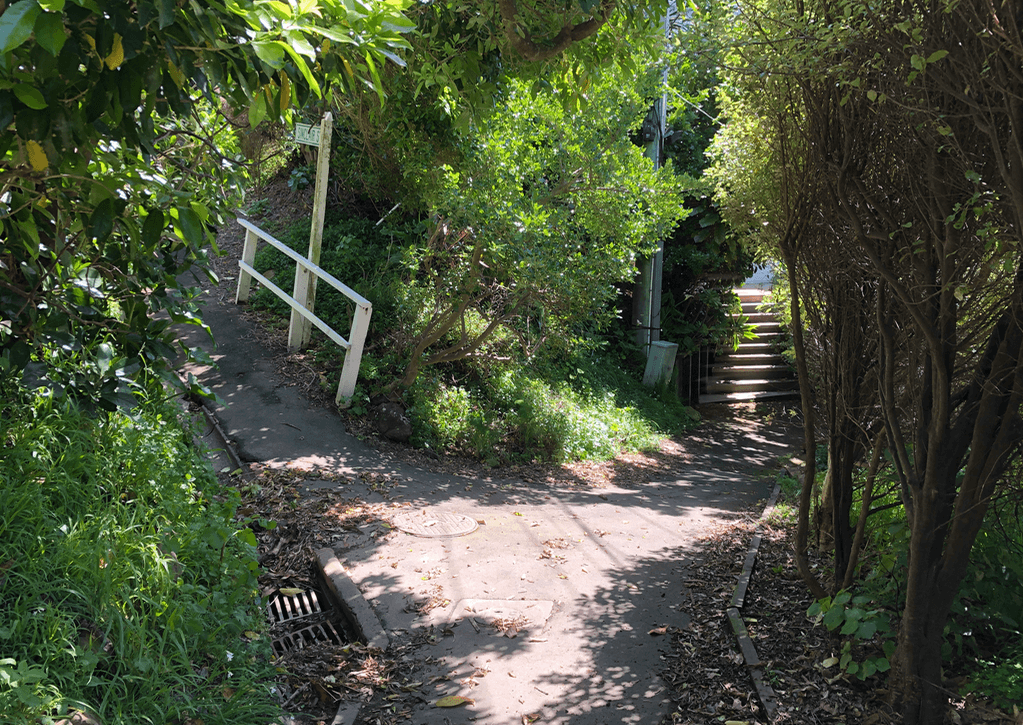 Screen Shot 2020-07-02 at 4.22.47 PM