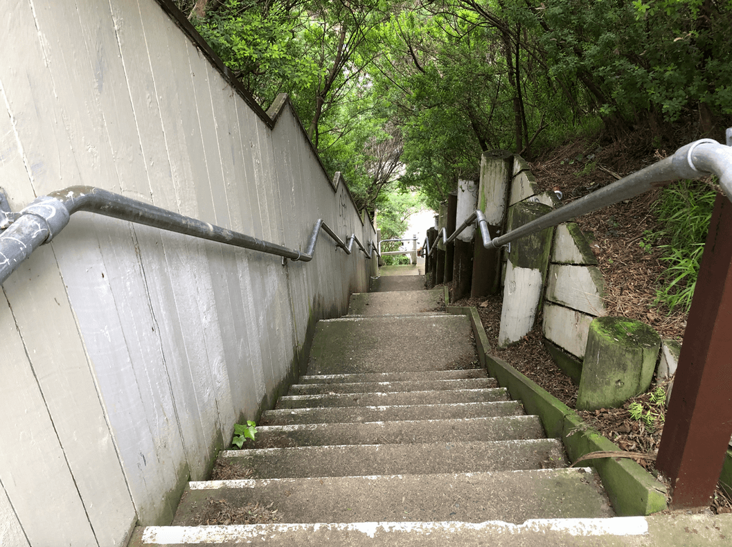 Screen Shot 2020-08-05 at 10.33.47 PM